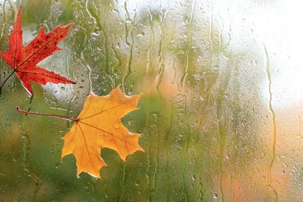 Sump Pump Maintenance Before Wichita’s Fall Rains