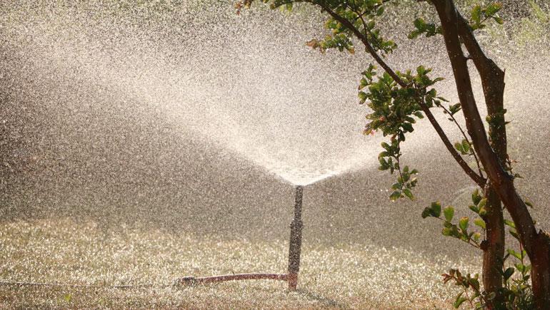 Gardening Water Wasters in Ocean County