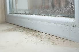 The Role of Plumbing in Maintaining Healthy Indoor Air Quality