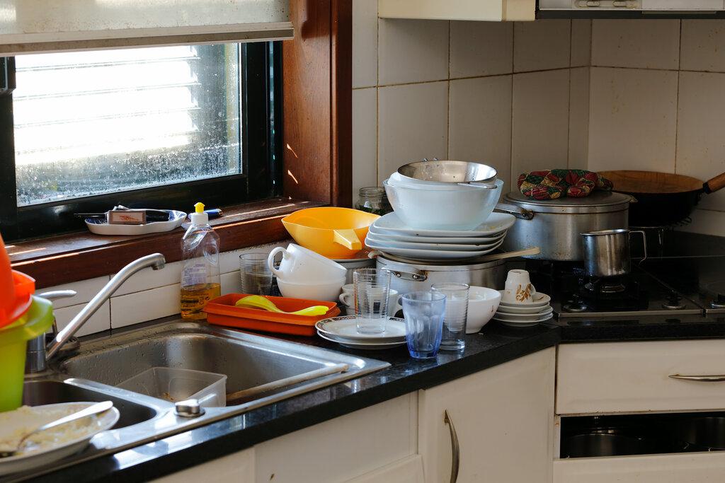 How to get rid of fruit flies in the kitchen (a lot of times they live in the drains)
