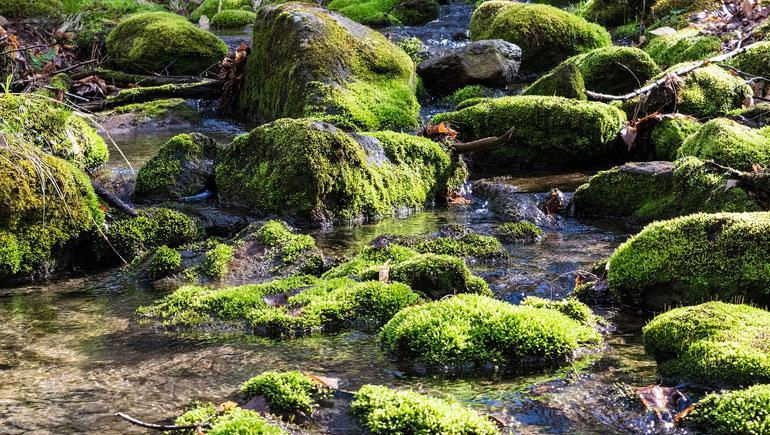 Top 5 Easy Ways to Save Water at your Ocean County Home