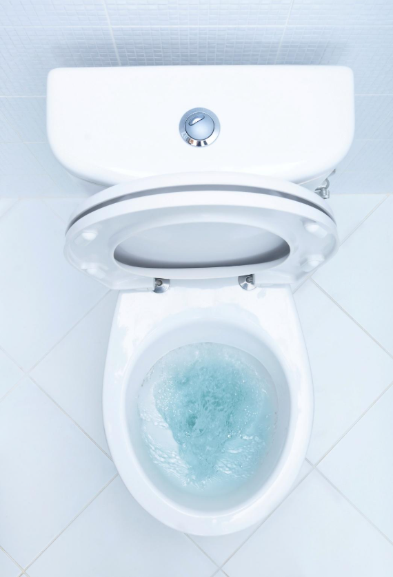 Toilet Leak Repair Solutions for Myrtle Beach Homes