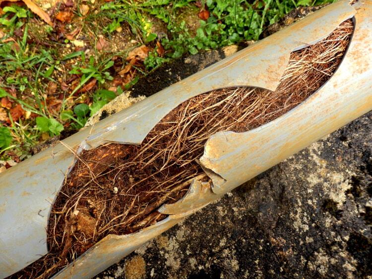 10 Signs of a Broken Sewer Line in Ocean County