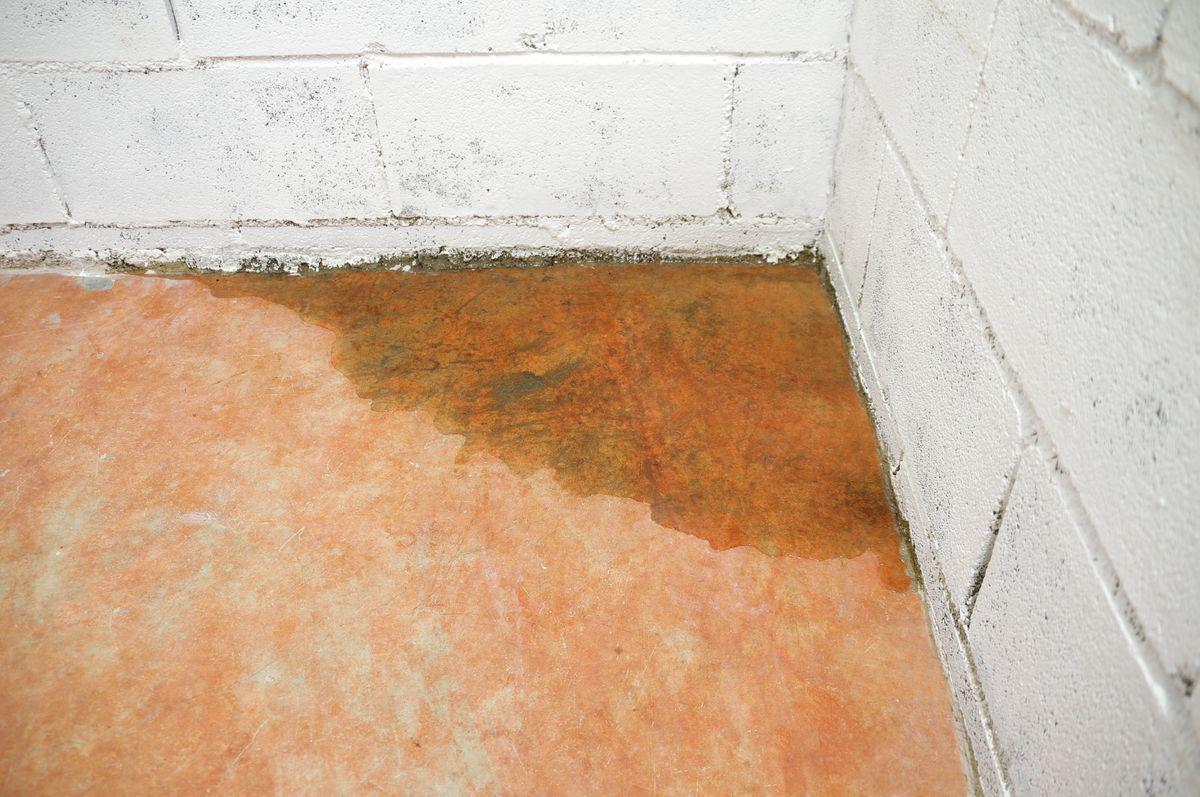 How Seasonal Changes Impact Your Home’s Plumbing in Minnesota
