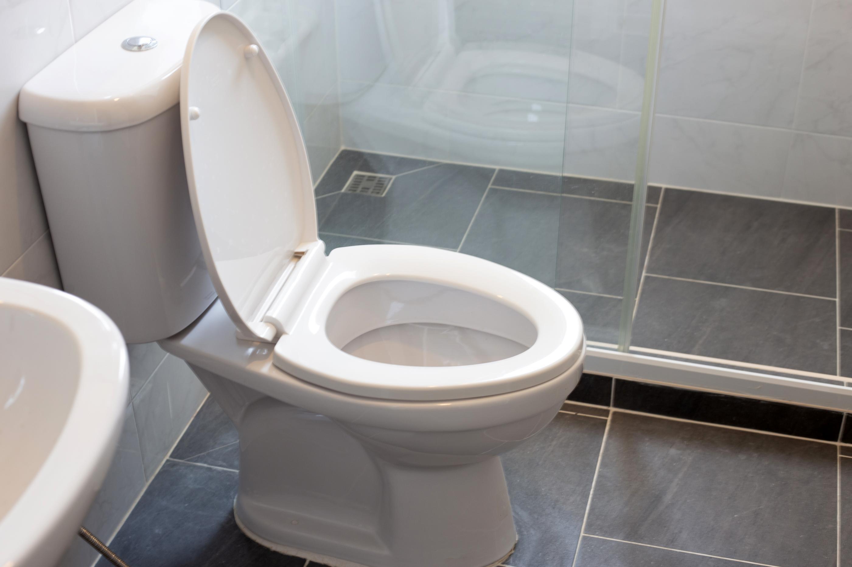 Why Is My Toilet Loud When I Flush It?